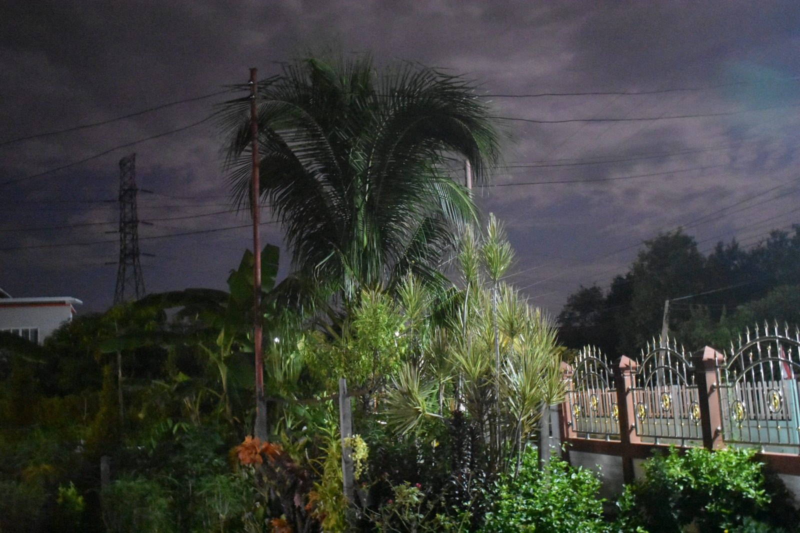 Urbaner Garten